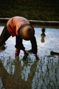 sijoittaminen, osakkeet, rahastot, osakesijoittaminen, rahastosijoittaminen, säästäminen, talous, etf, talouspolitiikka, markkina-analyysit, markkinat, makrotalous, salkunrakentaja,