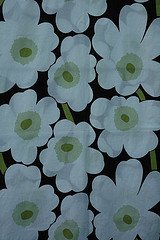 sijoittaminen, osakkeet, rahastot, osakesijoittaminen, rahastosijoittaminen, säästäminen, talous, etf, talouspolitiikka, markkina-analyysit, markkinat, makrotalous, salkunrakentaja,