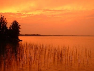 sijoittaminen, osakkeet, rahastot, osakesijoittaminen, rahastosijoittaminen, säästäminen, talous, etf, talouspolitiikka, markkina-analyysit, markkinat, makrotalous, salkunrakentaja,sijoitustappiot