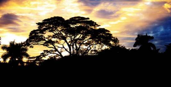 sijoittaminen, osakkeet, rahastot, osakesijoittaminen, rahastosijoittaminen, säästäminen, talous, etf, talouspolitiikka, markkina-analyysit, markkinat, makrotalous, salkunrakentaja,sijoitustappiot