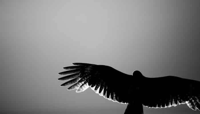 sijoittaminen, osakkeet, rahastot, osakesijoittaminen, rahastosijoittaminen, säästäminen, talous, etf, talouspolitiikka, markkina-analyysit, markkinat, makrotalous, salkunrakentaja,