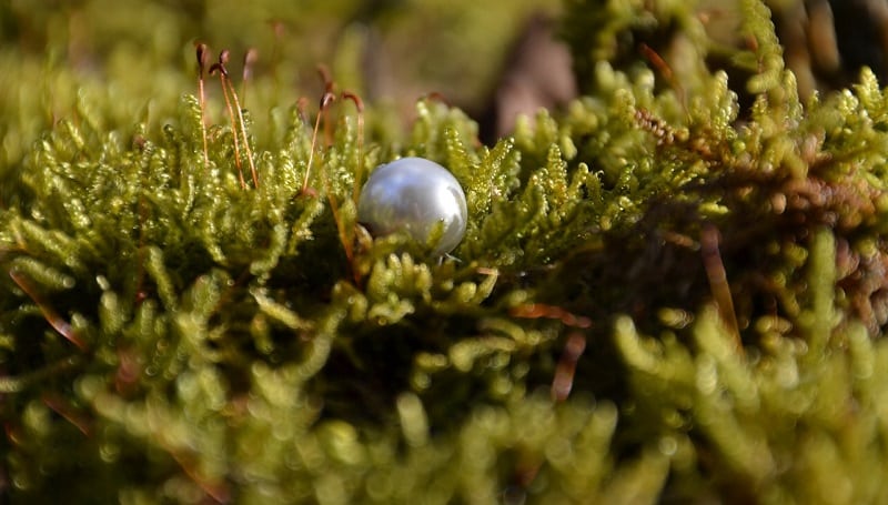 osakepoiminta suosikkiosakkeet osinko-osakkeet helmi