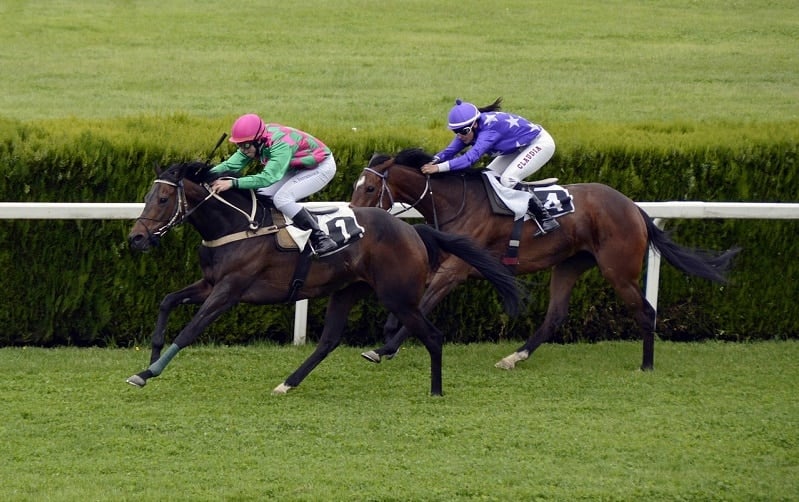 rahastovertailu indeksirahasto sijoitusrahasto rahastot sijoittaminen