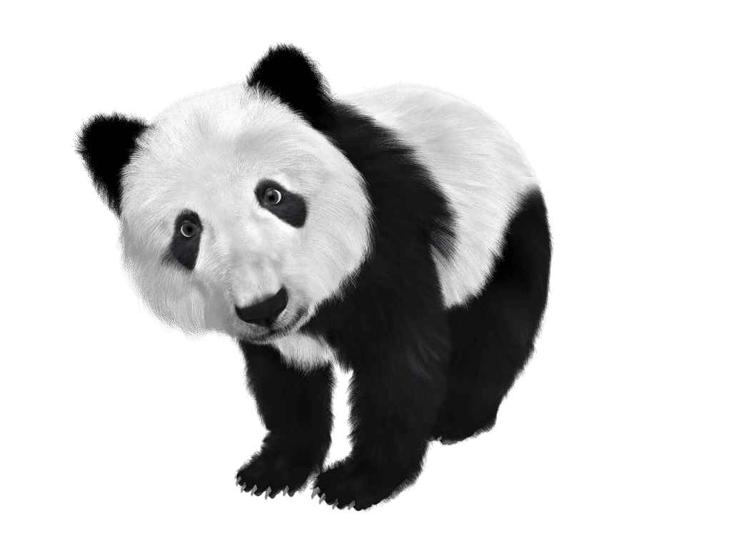 Kiinalaisten velkaantuminen yhdessä wmp-johdannaisten suosion kasvun kanssa aihettaa huolta markkinoilla. Tässä artikkelissa käydään läpi mihin tuo huoli perustuu.