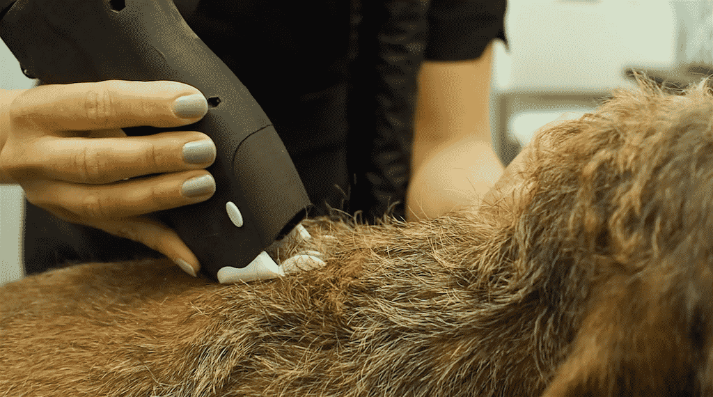 Karhia trimmeri nopeuttaa trimmausta ei rasita sormia ja tuottaa usein käsinnypintää tasaisemman trimmaustuloksen