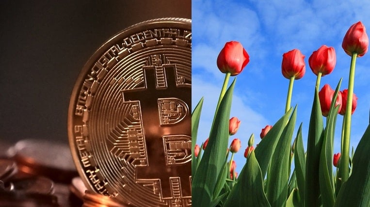 bitcoin tulppaanimania kryptovaluutta bittiraha