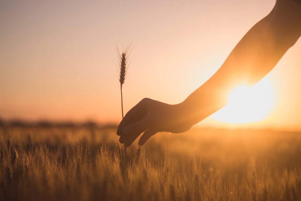 Osakesijoittaminen, arvosijoittaminen ja osakepoiminta