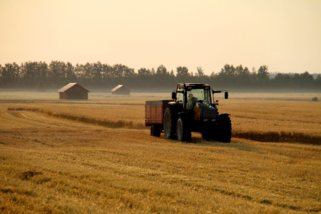 Listautumisanti ja osakkeen hinta, onko se oikea. Sijoittajan vaihtoehtoiskustannus on yksi tapa miettiä osakkeen hintaa.