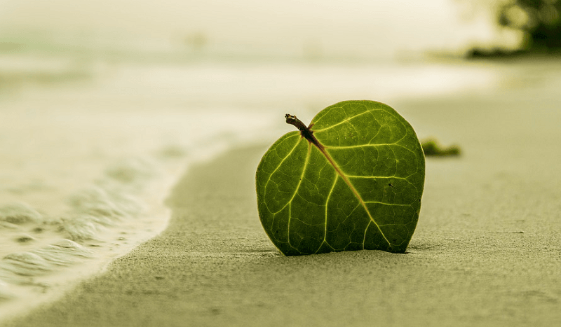 suoraselkäisyyden mittaaminen vastuullisuus etiikka