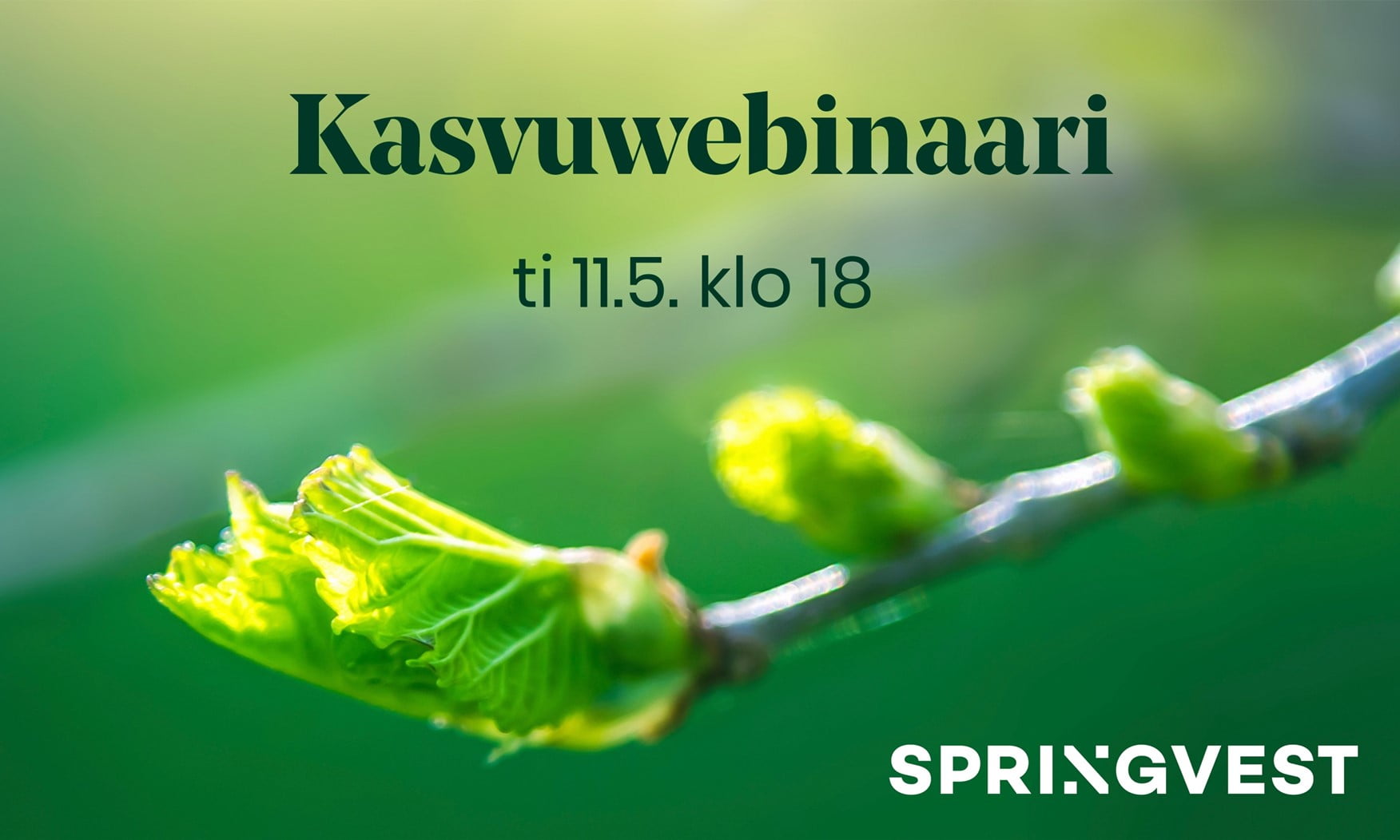 Springvest kasvuwebinaari kasvuyhtiöt