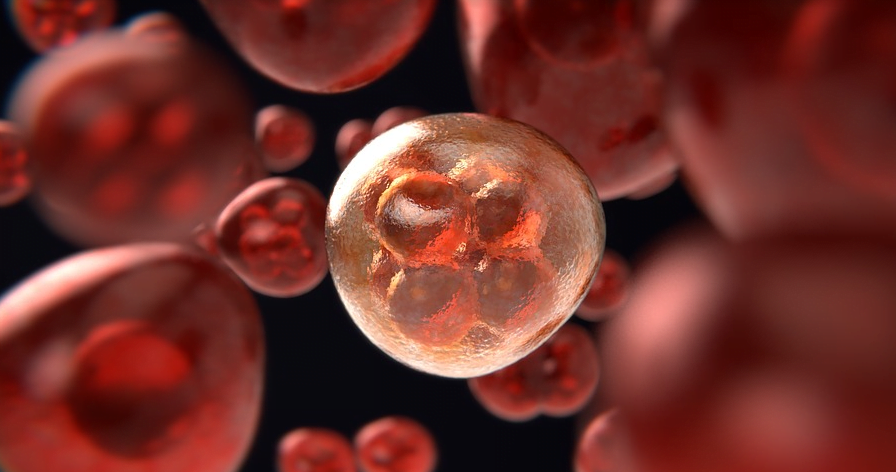 syöpä syöpäsolut syöpätutkimus