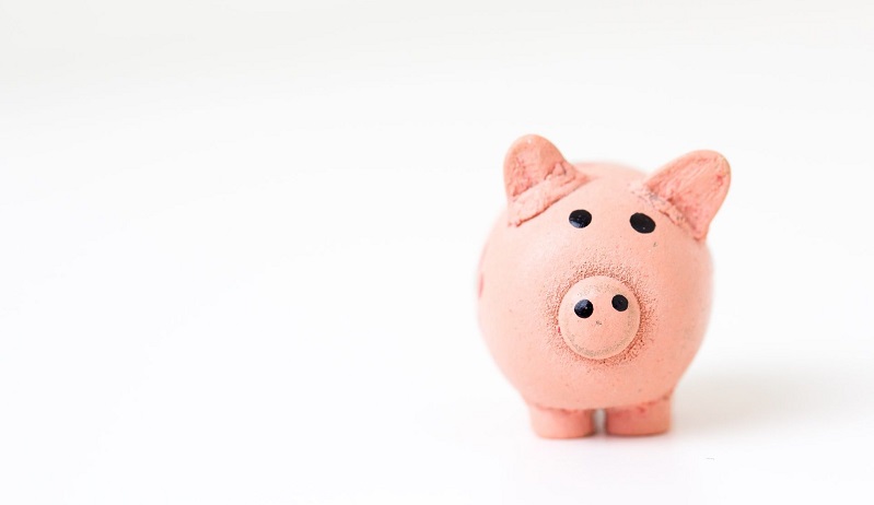 säästäminen säästöpossu säästöt raha