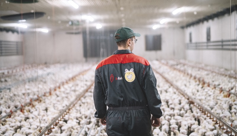 Atria siipikarjatuotanto