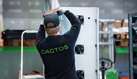 Cactos