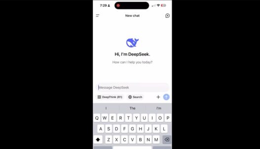 DeepSeek