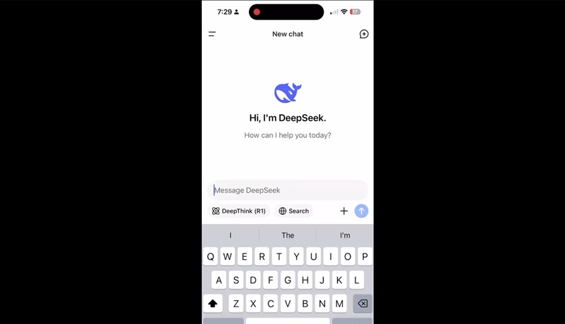 DeepSeek