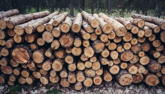 tukkipuu mäntytukit metsäteollisuus metsätalous