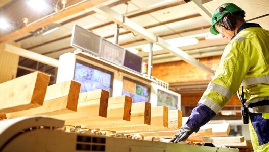 UPM metsäyhtiö Timber