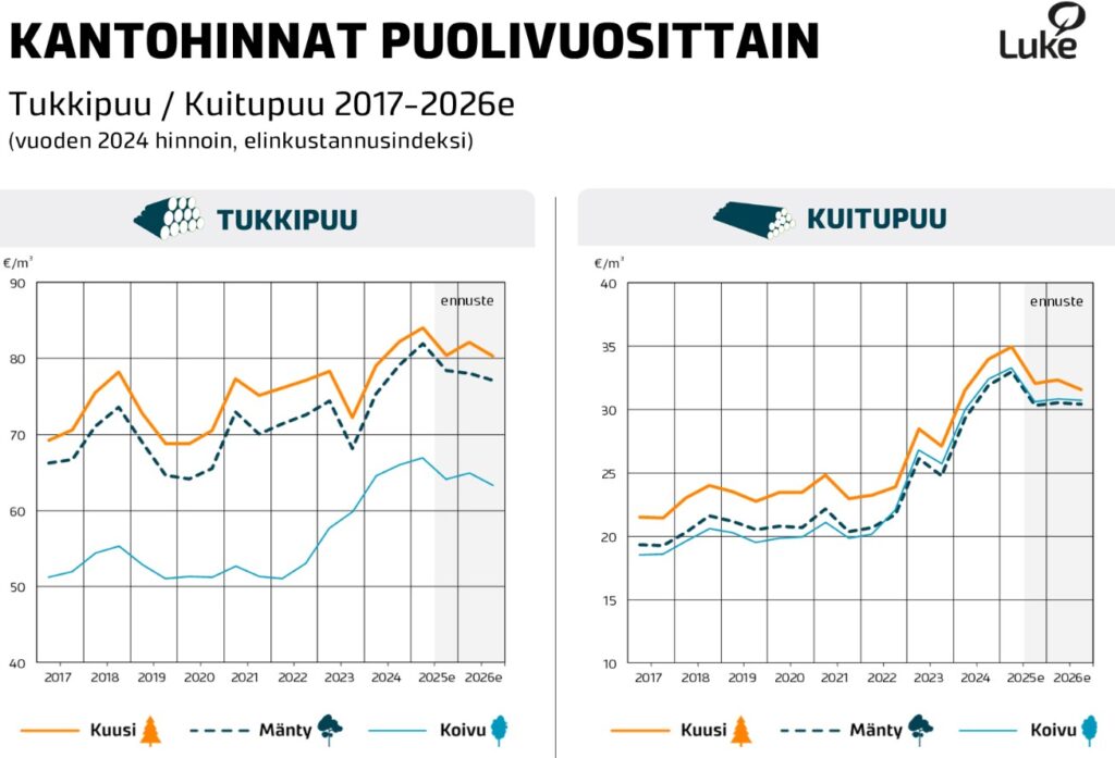 kantohinnat tukkipuu kuitupuu
