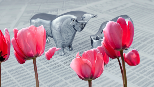 tulppaanimania pörssikupla