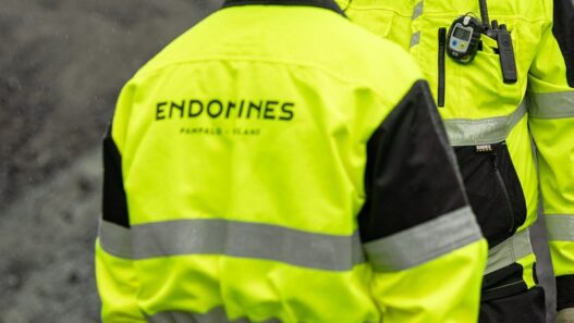 Endomines