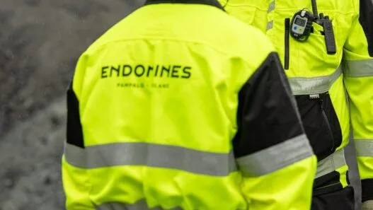 Endomines