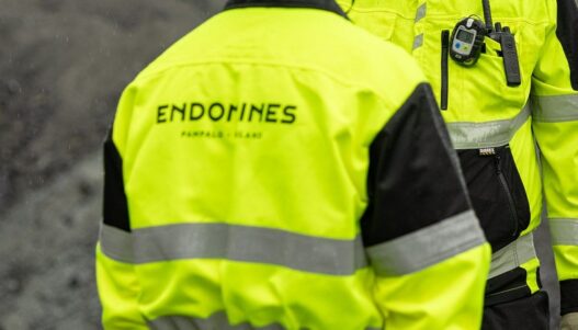 Endomines