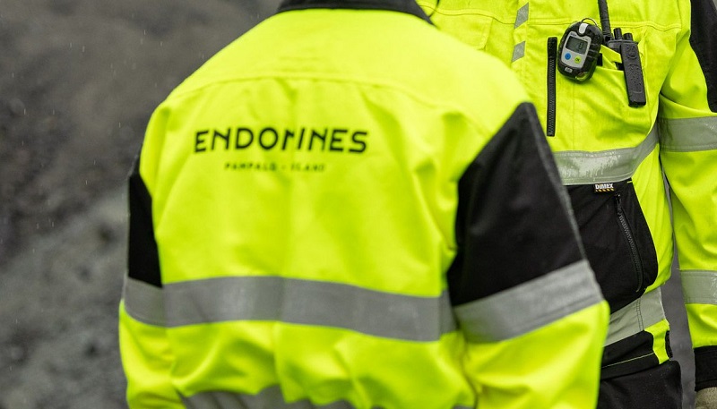 Endomines